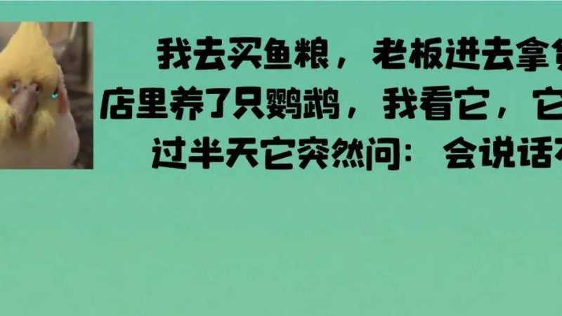 探寻调味料批发市场的秘密——地址背后的故事