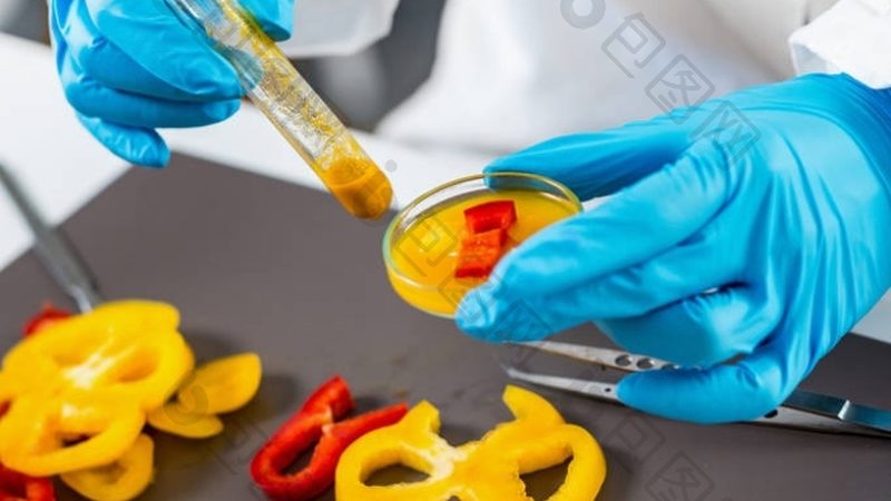 火锅盛宴，家庭聚餐选哪种底料更合适？**